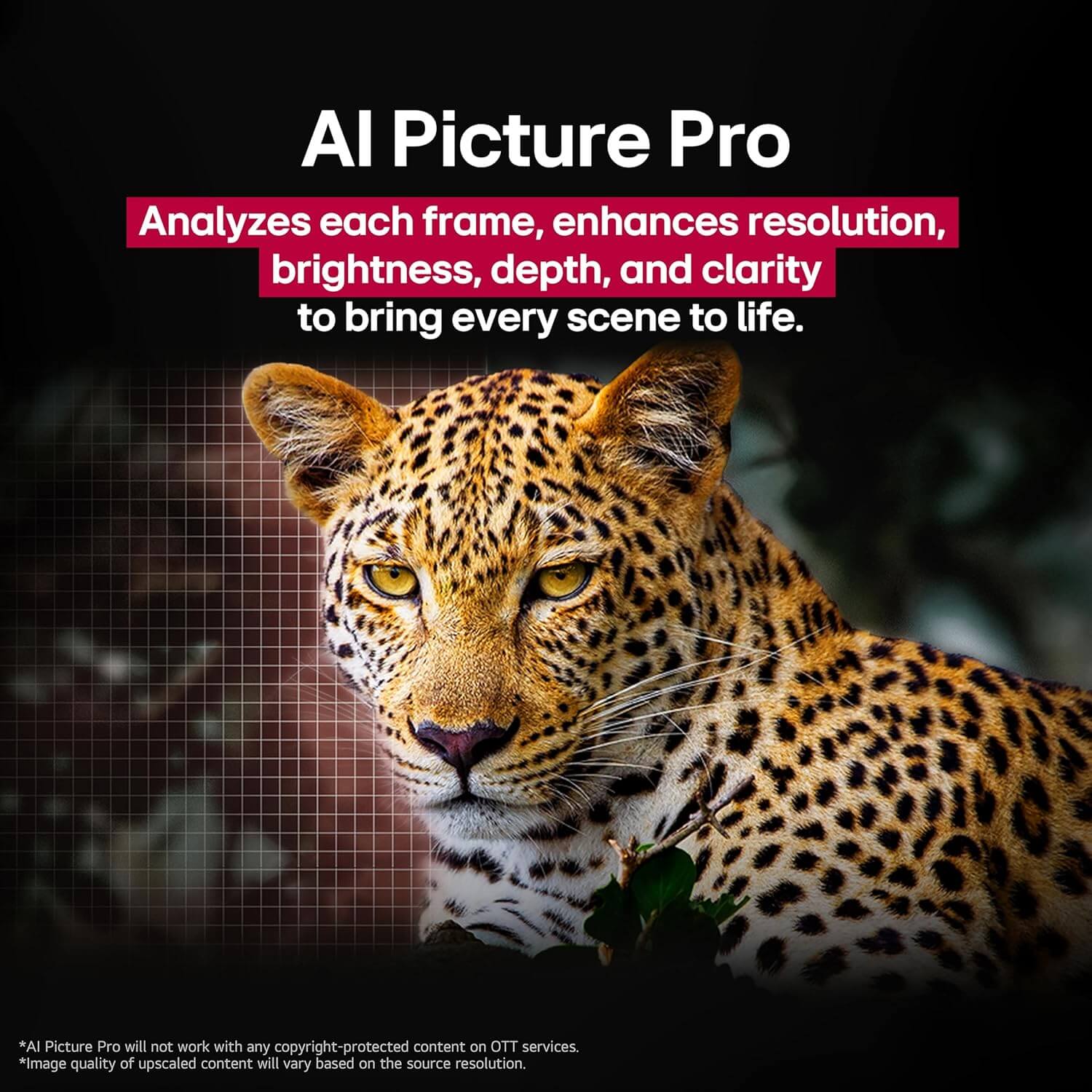 LG G5 OLED TV Display