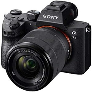 10 Best Cameras: Professional Reviews & Buyer's Guide Sony a7 III