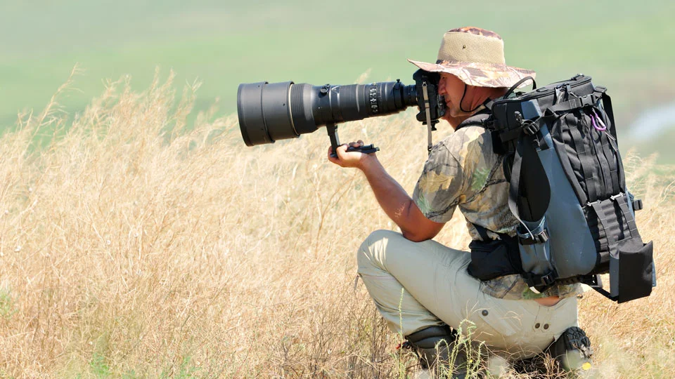 Best Cameras for Wildlife Photography